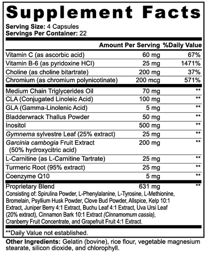 Fat Burner